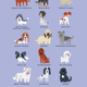 Illustration for article titled Adorable Drawings of Dog Breeds, Grouped By Their Place of Origin